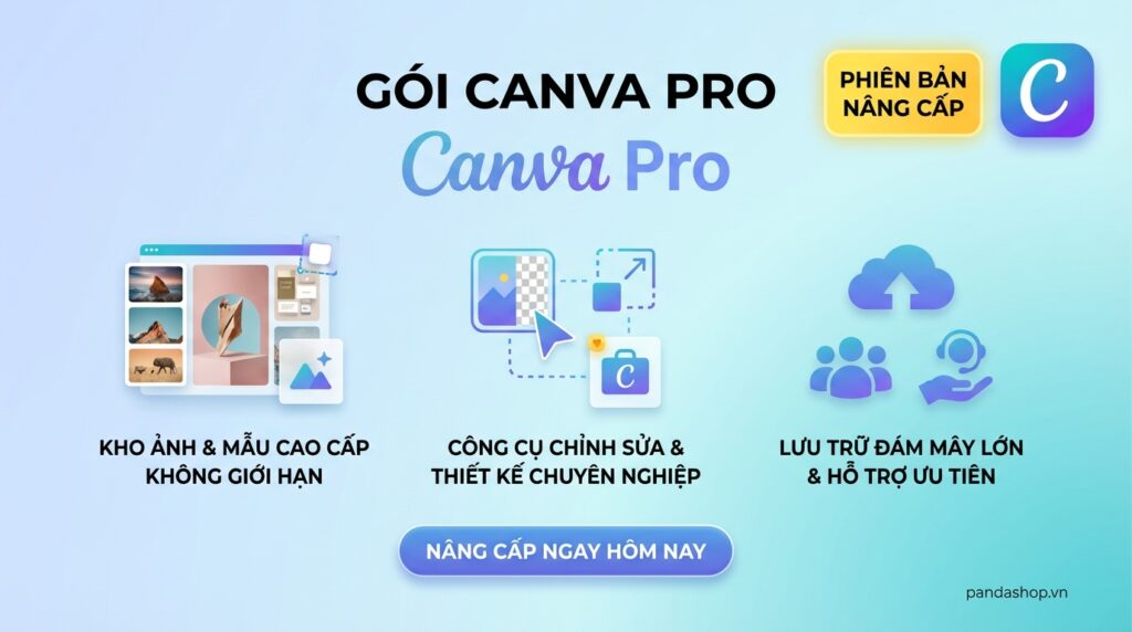 Nâng cấp Canva Pro cao cấp | PandaShop.vn